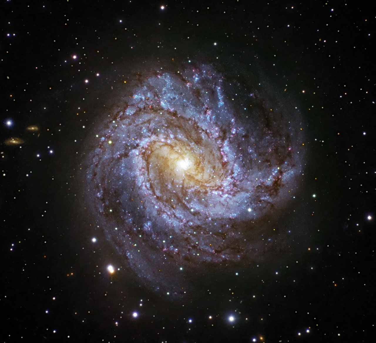 A spiral galaxy