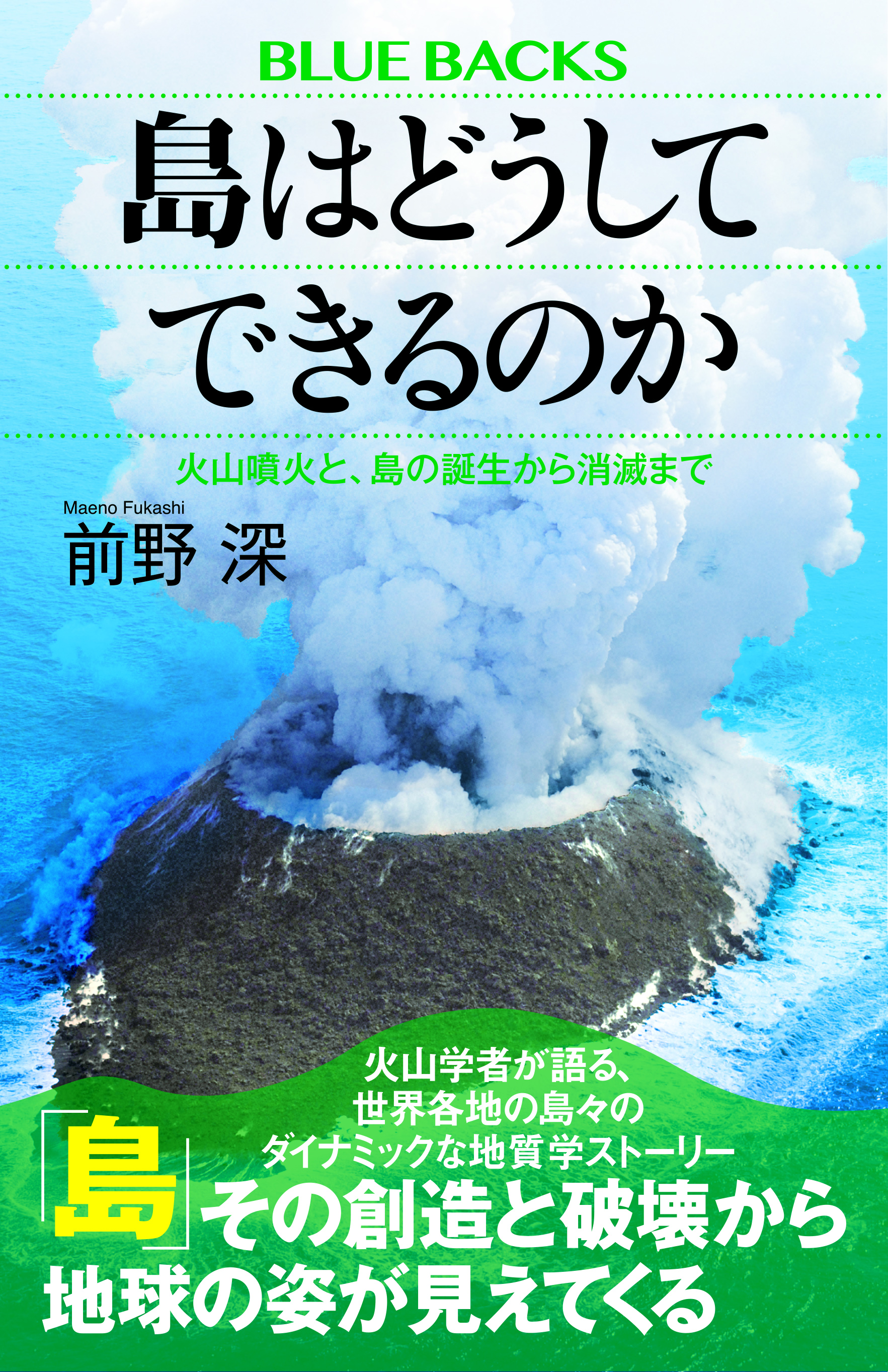火山島の空中写真
