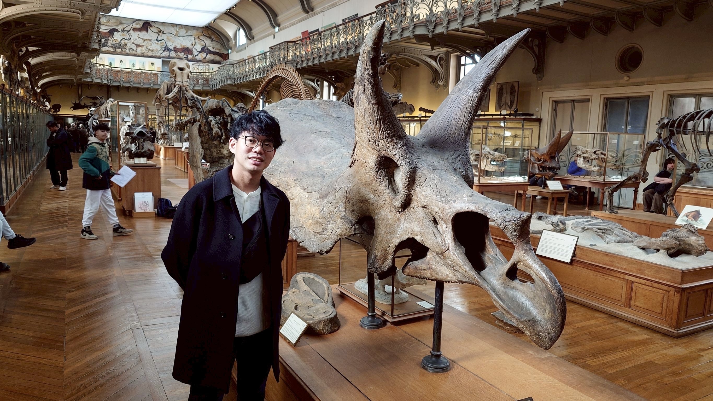 A person standing in front of a triceratops skull