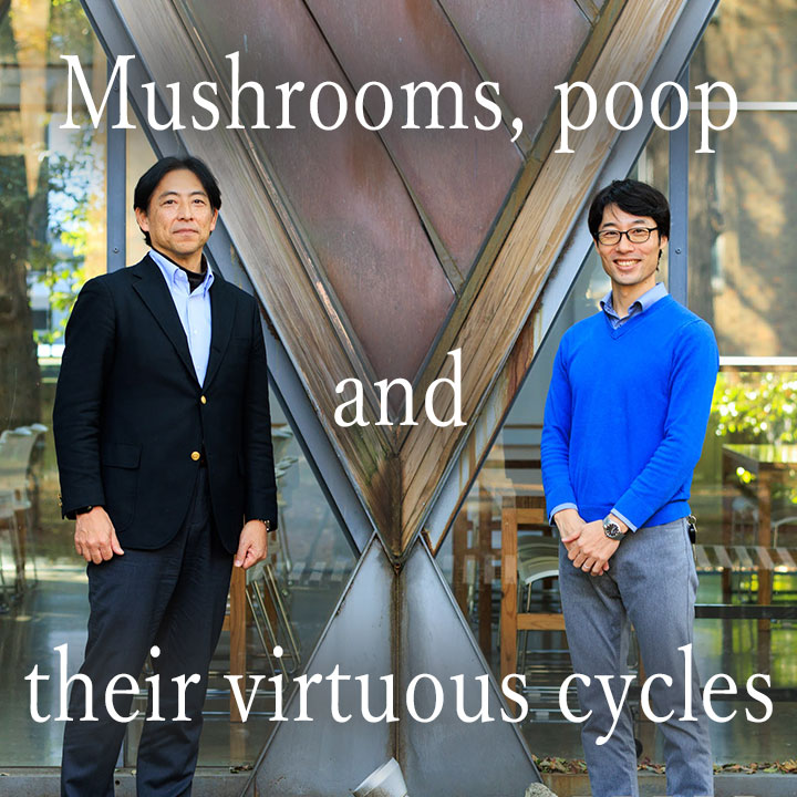 Mushrooms, poop and their virtuous cycles