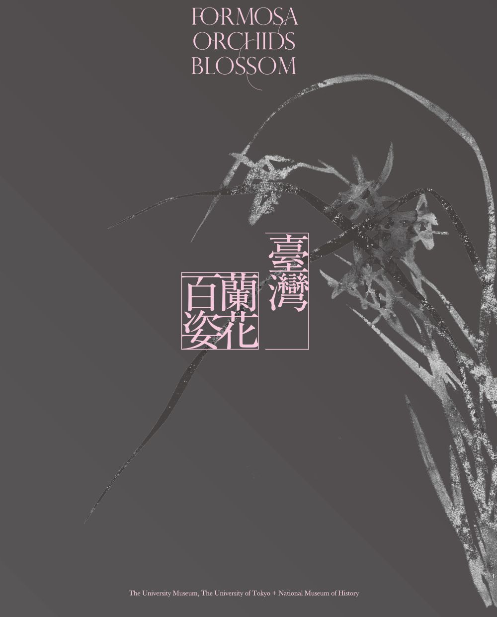 grey cover with pink title