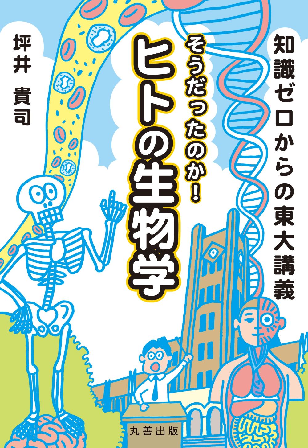 東大、人体模型、骸骨のイラスト