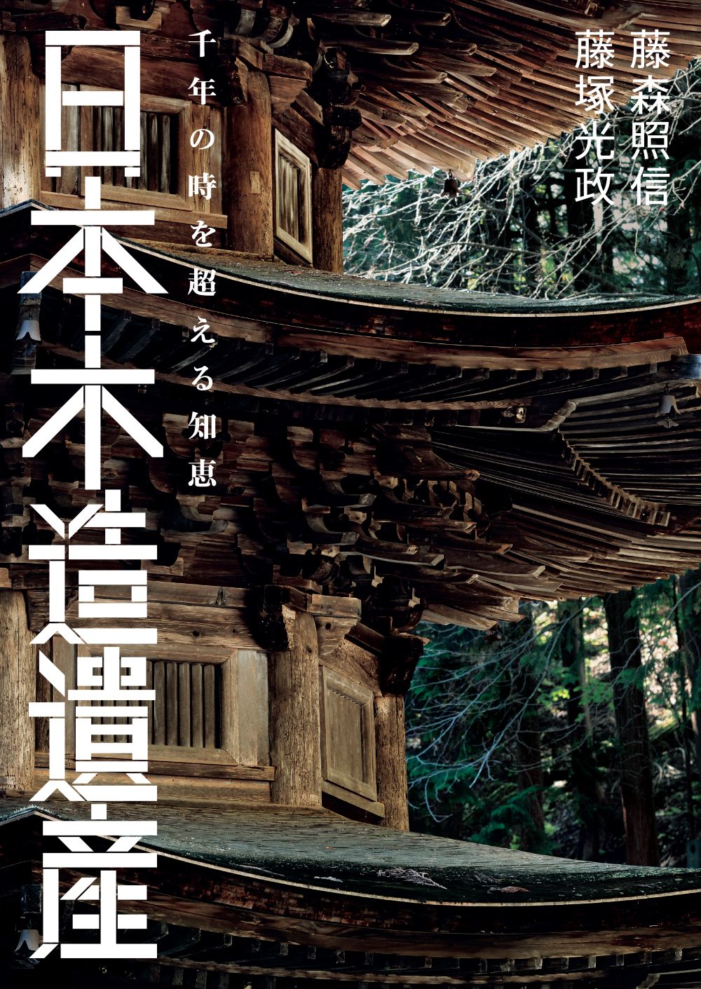 picture of wooden architecture