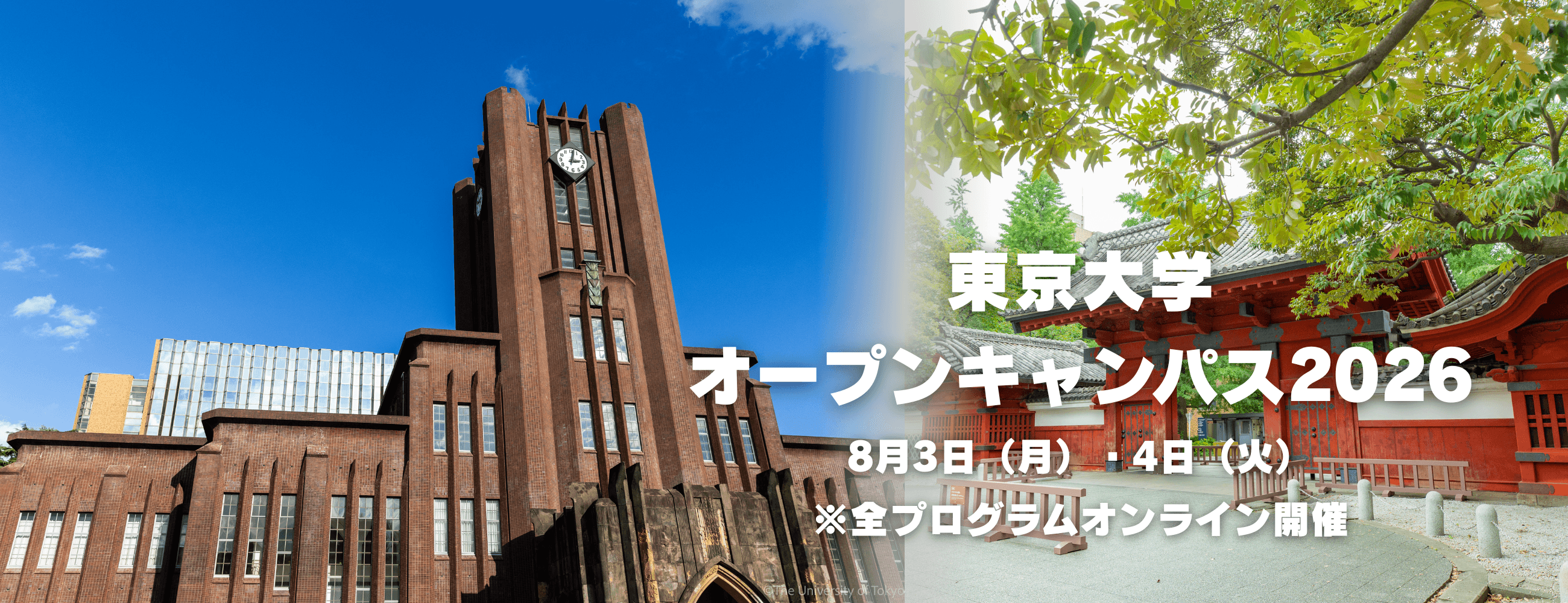 別ウィンドウで開く