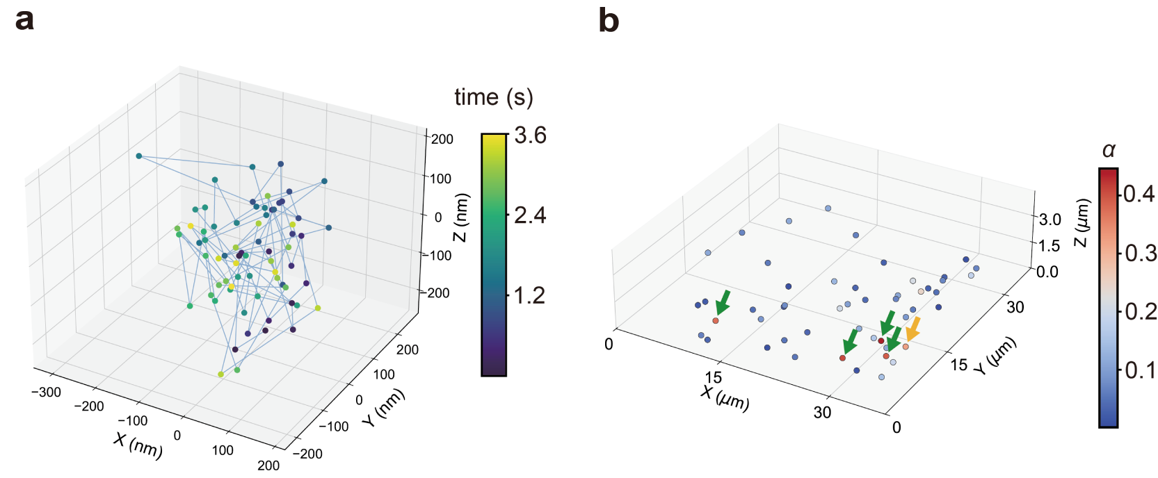 Graphs charting the movement of chemical components within the cell in 3D.