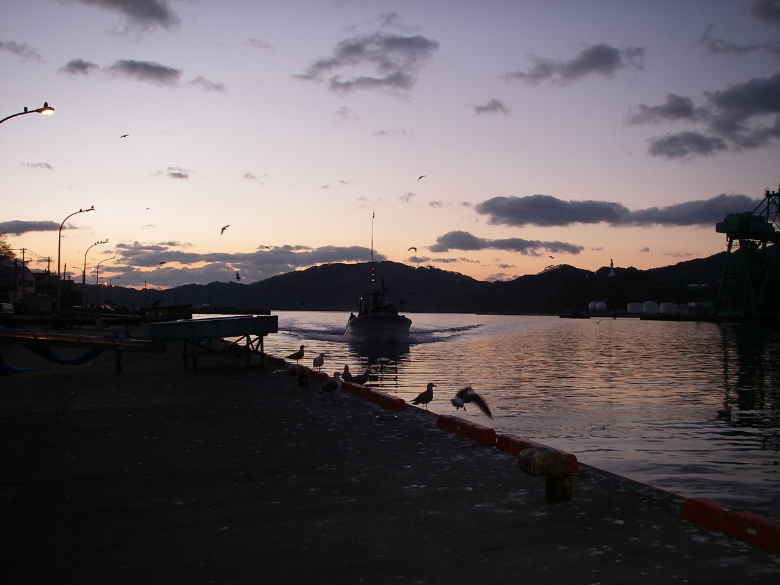 Beautiful morning glow near Kamaishi Harbour before the March 11 disaster, which has totally changed the locality. Photo: Ken Ohori, Assistant Professor, Institute of Social Sciences