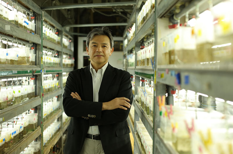 Professor Hiroyuki Takeda, Graduate School of Science Photo: Jun'ichi Kaizuka