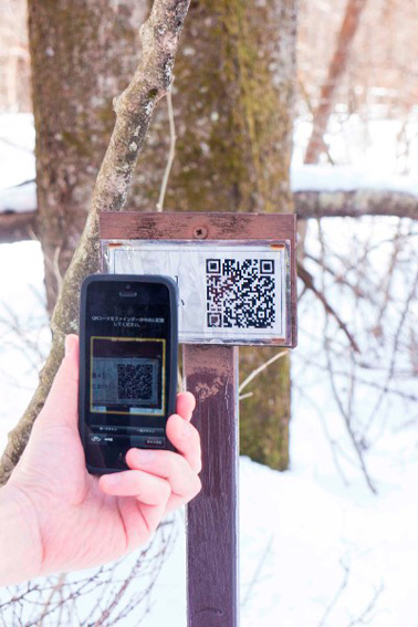 Visitors can scan QR codes with their mobile phones to get information about the forest. The low-cost system is easy to install, maintain and update, while not disrupting the scenery. Photo: Jun'ichi Kaizuka