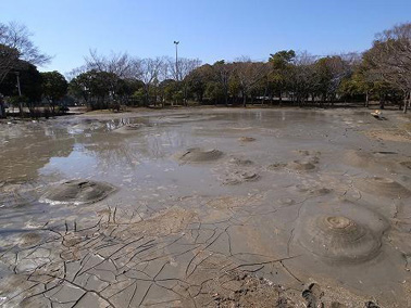 Liquefaction in Urayasu, Chiba, triggered by the Great East Japan Earthquake, which struck on March 11, 2011. The sand boiling has created miniature volcano-shaped formations that resemble Mt. Fuji.  After the 1946 Tonankai Earthquake, too, people called these formations Mt. Fuji. In my book Rekishi no naka no daichi dōran: Nara Heian no jishin to tennō (Earth's Convulsions in History: Earthquakes of the Nara and Heian Periods and the Emperor) (Iwanami Shinsho), I explain how people saw these formations as a manifestation of the gods of the Underworld. © Toru Sekiguchi (Faculty of Engineering, Chiba University).