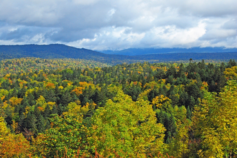 Photo 4: Looking from Jukaitoge over the autumnal natural forest. The University of Tokyo Hokkaido Forest. © The University of Tokyo Forests.
