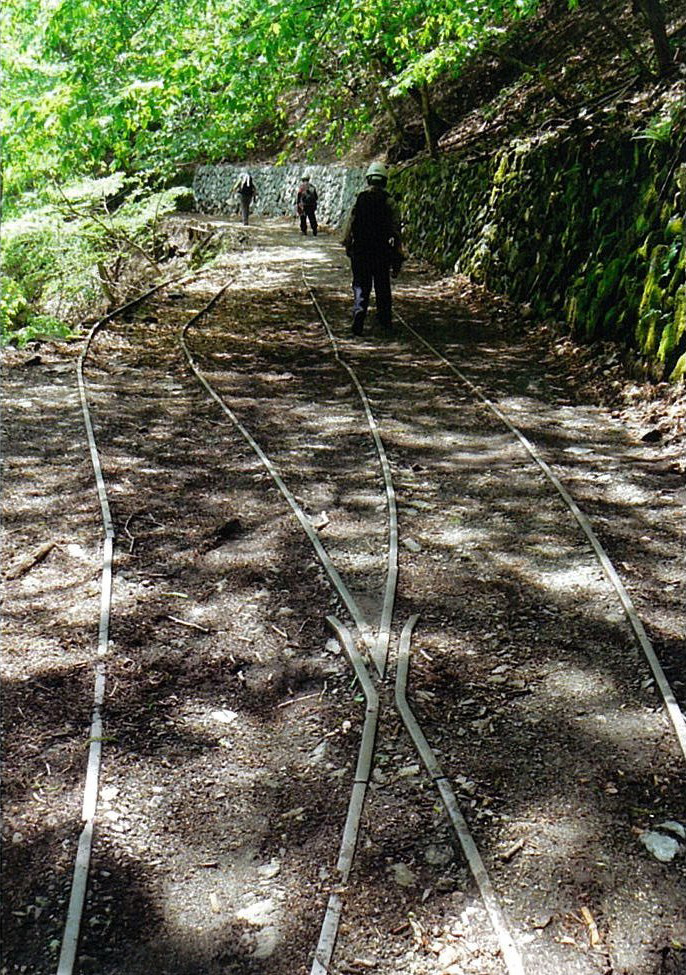 Photo 6: Footpath where the rails from an old logging railroad remain. The University of Tokyo Chichibu Forest. © The University of Tokyo Forests.
