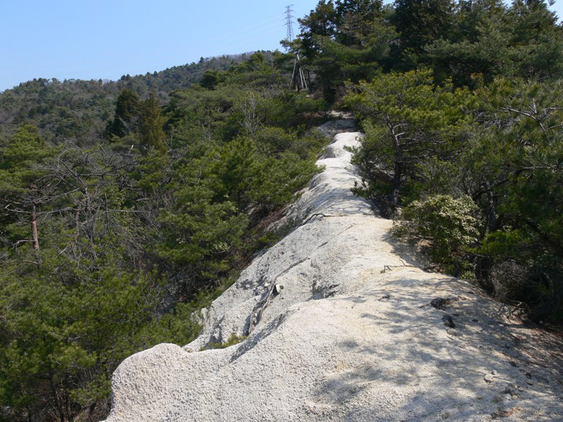 Photo 8: A granite mountain ridge bleached white by weathering, leaves the only trace from a period of deforestation. Ecohydrology Research Institute. © The University of Tokyo Forests.