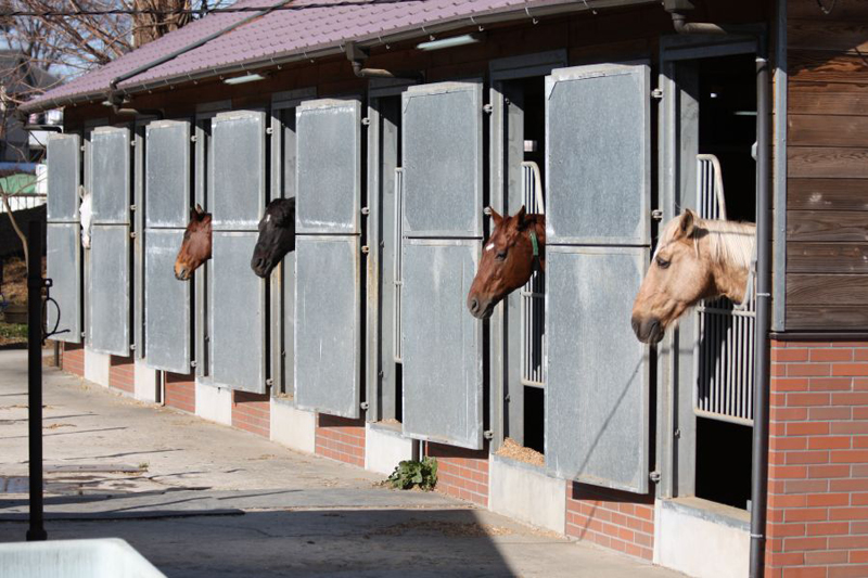 Mitaka Horse Track