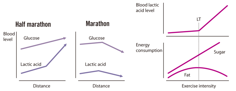 Fig. 1,2