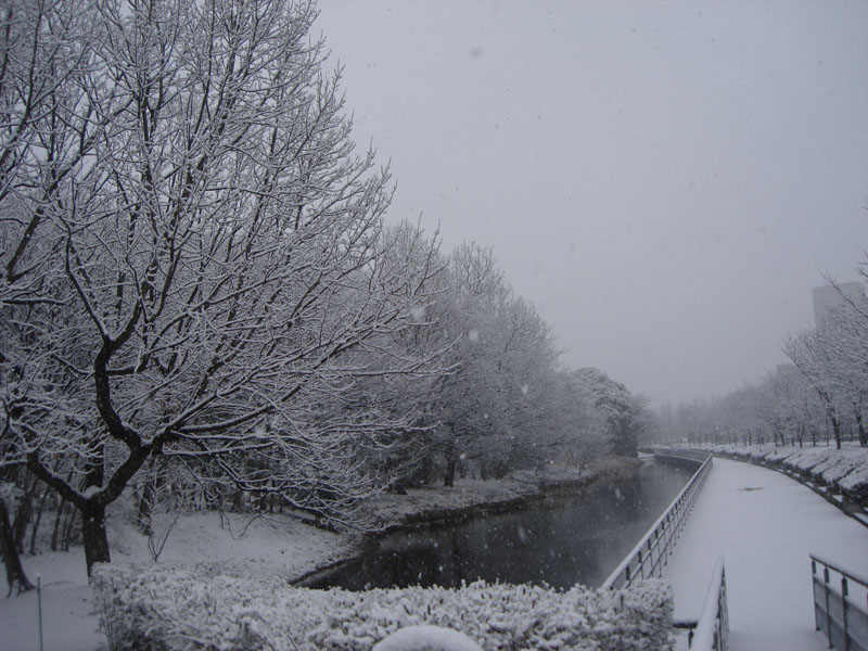 Photo 7:  Snowscape at Gorokurou Pond. © Yasuhiro Iye.