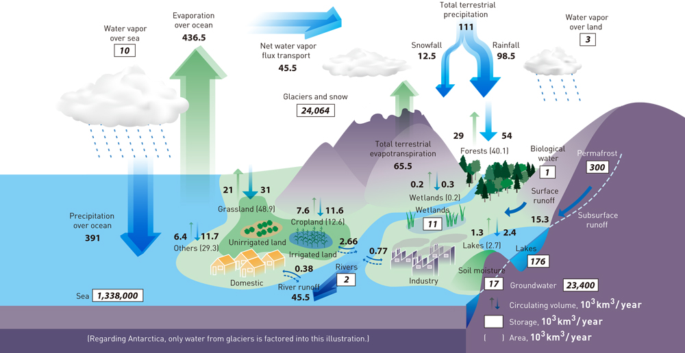 Diagram of Earth's water cycle