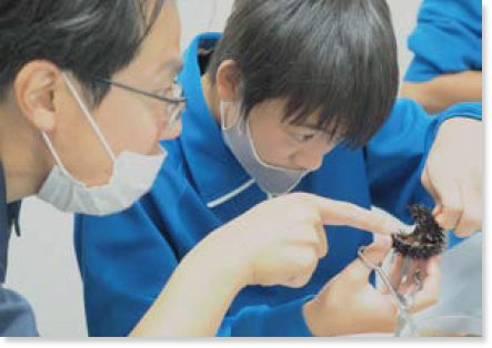解剖はさみを使ってウニの殻を割っている中学生と指差しで説明するセンターの職員