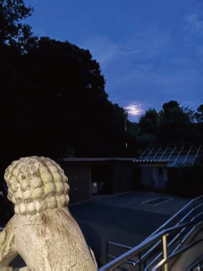 夜の獅子像と背後の月