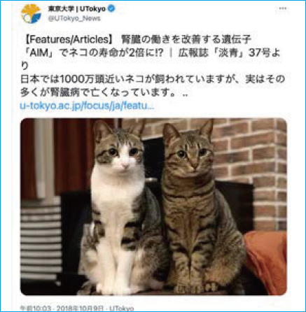 2匹の猫の写真が投稿されたツイート