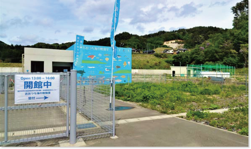 「開館中」のビニール看板の奥にある「おおつち海の勉強室」の水色の建物の外観