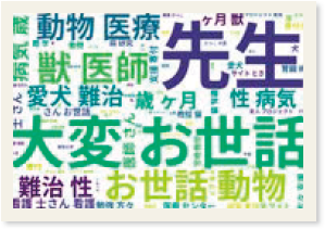 「先生」「大変」「お世話」などと書かれたテキストマイニング