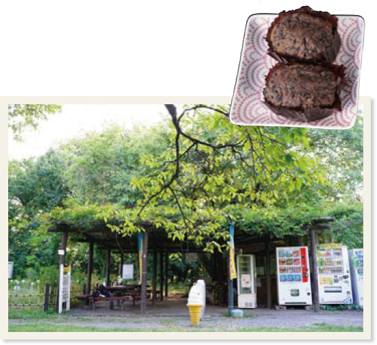 小石川植物園内にある緑で覆われた売店とおはぎ