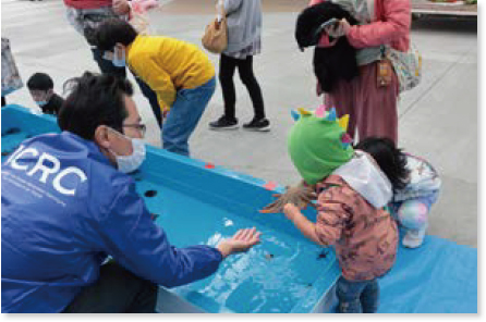 タッチプールの中にいるヒトデに触れ合う子供たち