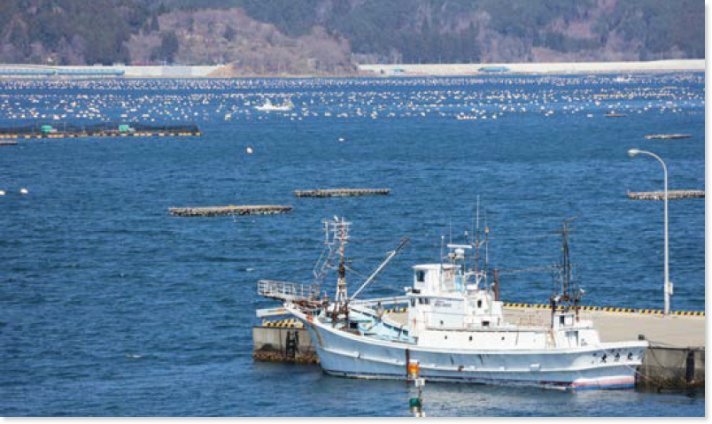 漁船とその奥にある牡蠣の養殖筏
