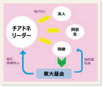 「チアドネリーダー」が「友人」「同窓生」「同僚」に呼びかけて「東大基金」に寄付をしてもらう。寄付をした人に領収書と特典を、「チアドネリーダー」には報告と感謝状などを還元する流れを示した図