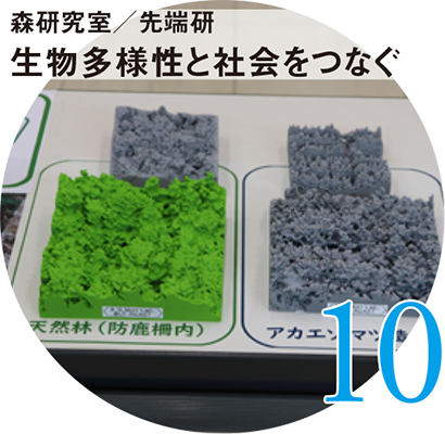 10 森研究室/先端研 生物多様性と社会をつなぐ