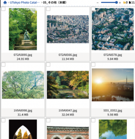 東京大学にまつわる写真のサムネイルが並んだWebサイトのキャプチャー画面