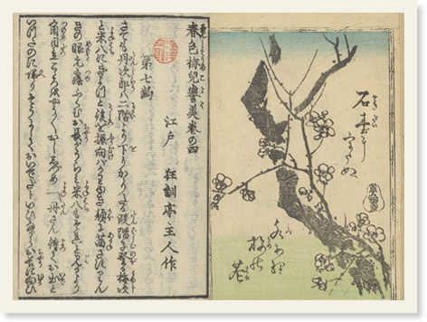 春色梅児誉美の見開き。右がカラーの挿絵、左が文章で構成されている