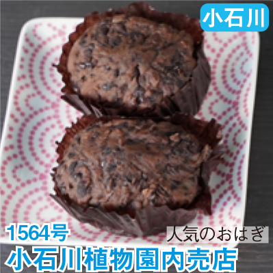 小石川 1564号 「小石川植物園内売店」 人気のおはぎ