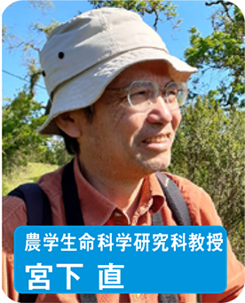 農学生命科学研究科教授 宮下 直