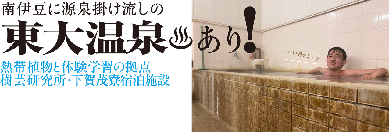 南伊豆に源泉掛け流しの東大温泉♨あり！ 熱帯植物と体験学習の拠点 樹芸研究所・下賀茂寮宿泊施設