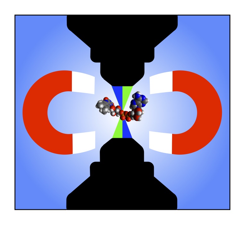 二つの新たに開発された顕微像技術のイメージ図 © 2015 Jonathan R. Woodward.TOAD(transient optical absorption detection)イメージング法とMIN(magnetic intensity modulation)。